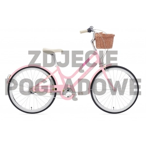 Rower młodzieżowy Romet Panda 2 2024 1
